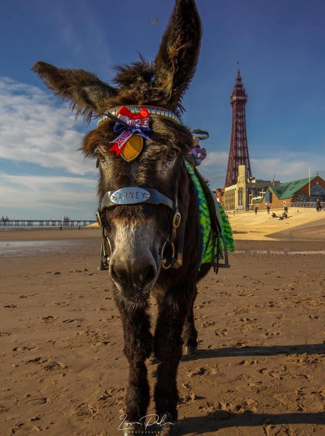 The Bailey Hotel Blackpool (Adults Only) Luaran gambar